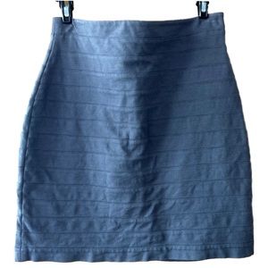 Express Pencil Skirt